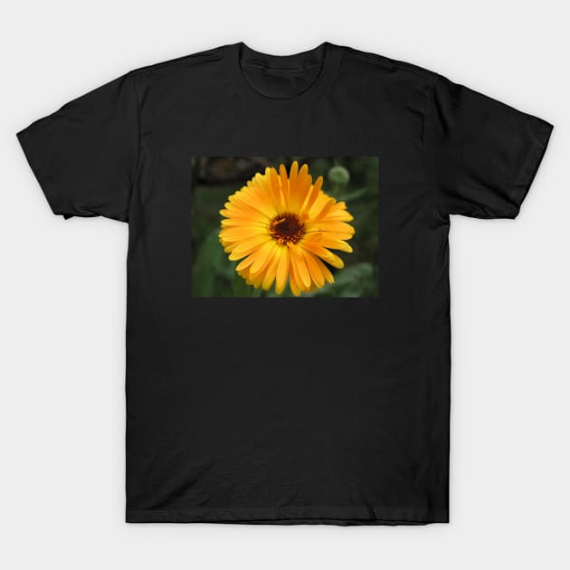 Orange Flower T-Shirt by Bunny420